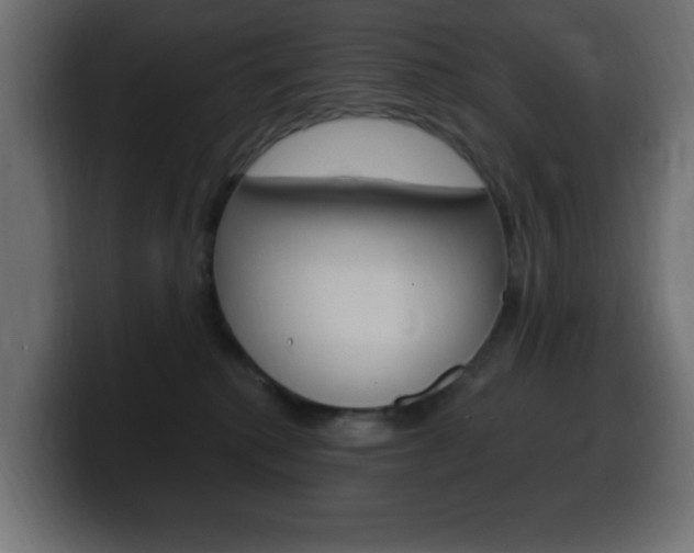 X0000100390280200806060840
