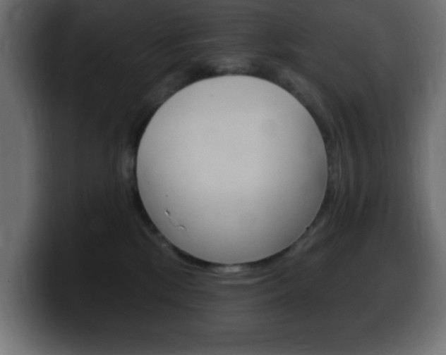 X0000100390281200806060840