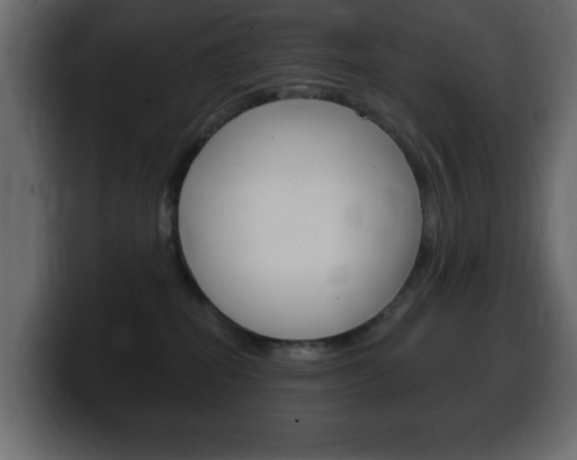X0000100390282200806060840