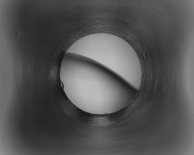 X0000100390283200806060840