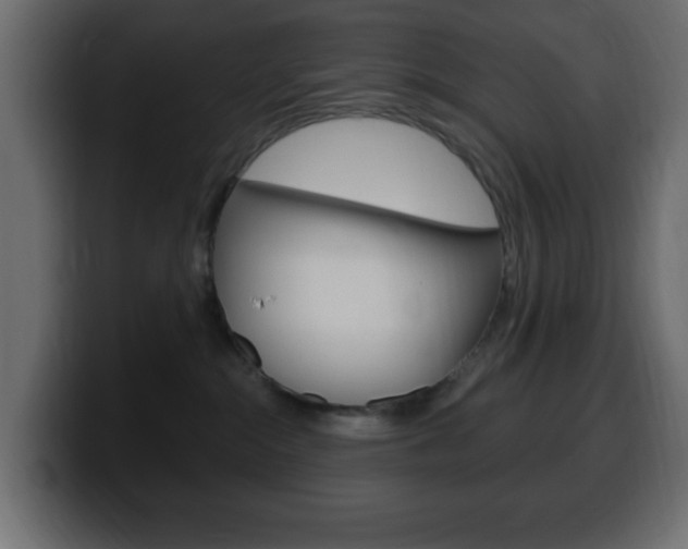 X0000100390284200806060840