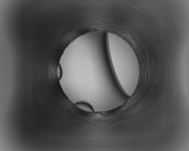 X0000100390285200806060840