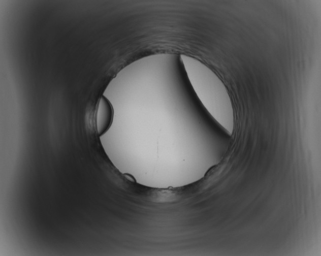 X0000100390287200806060840