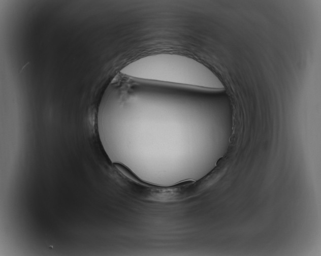 X0000100390288200806060840