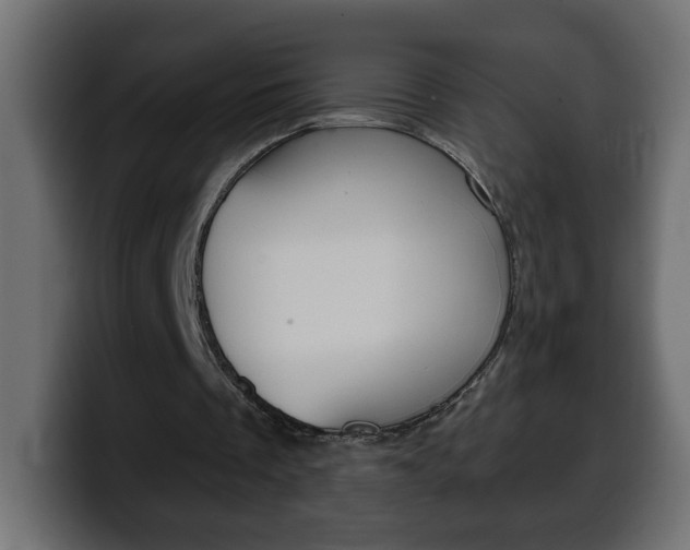X0000100390289200806060839