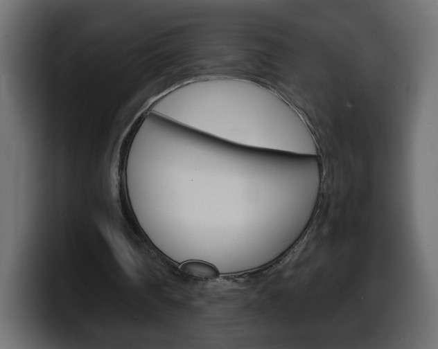 X0000100390290200806060839