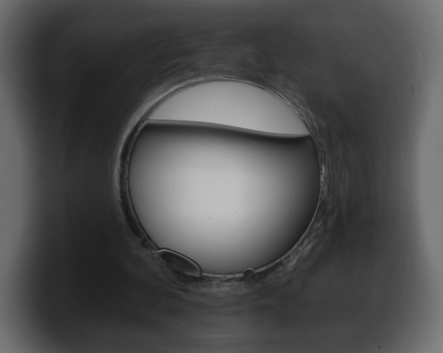 X0000100390292200806060839