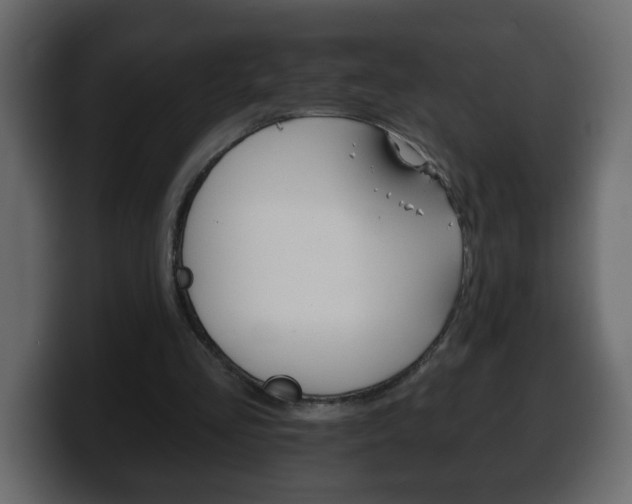 X0000100390293200806060839
