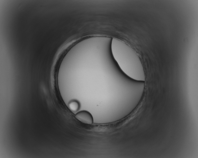 X0000100390294200806060839