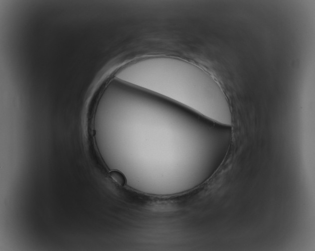 X0000100390296200806060839