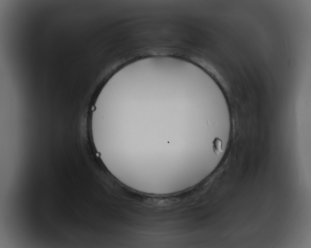 X0000100390297200806060839