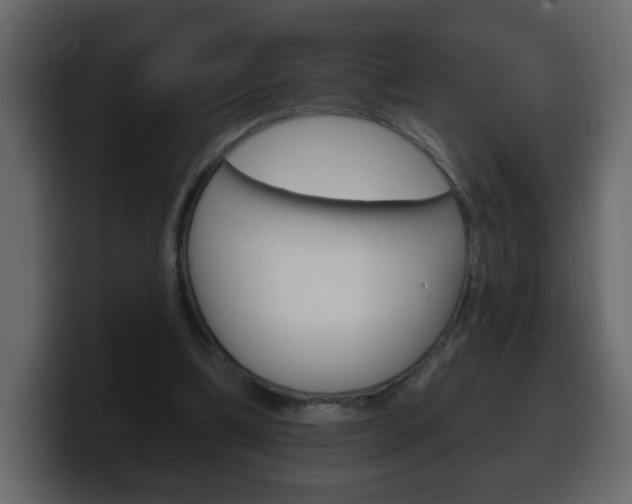 X0000100390298200806060839