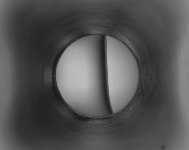 X0000100390299200806060839