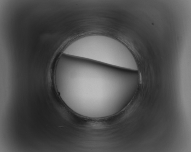 X0000100390300200806060839