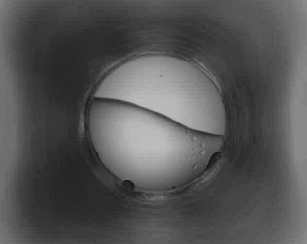 X0000100390301200806060839