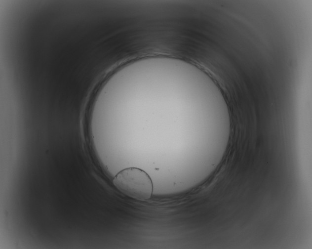 X0000100390302200806060839