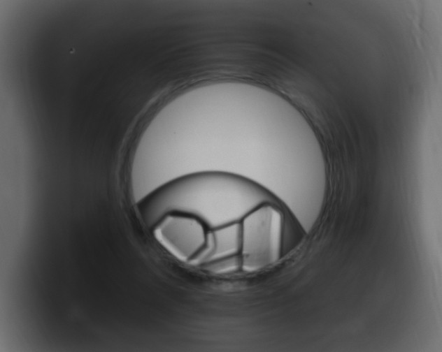 X0000100390304200806060839