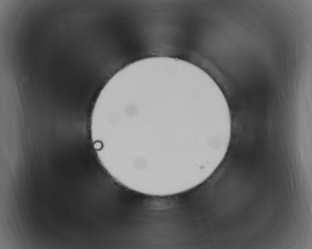 X0000100390305200806060839