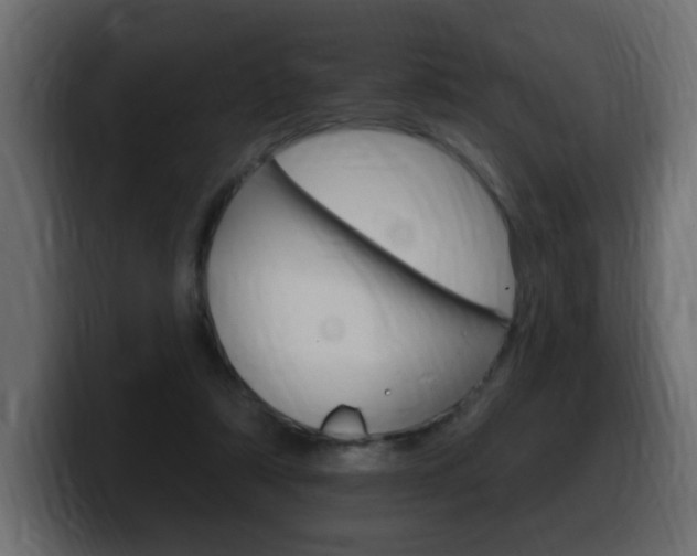 X0000100390306200806060839