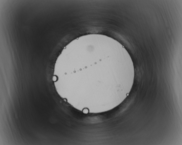 X0000100390307200806060839