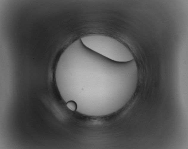 X0000100390310200806060839