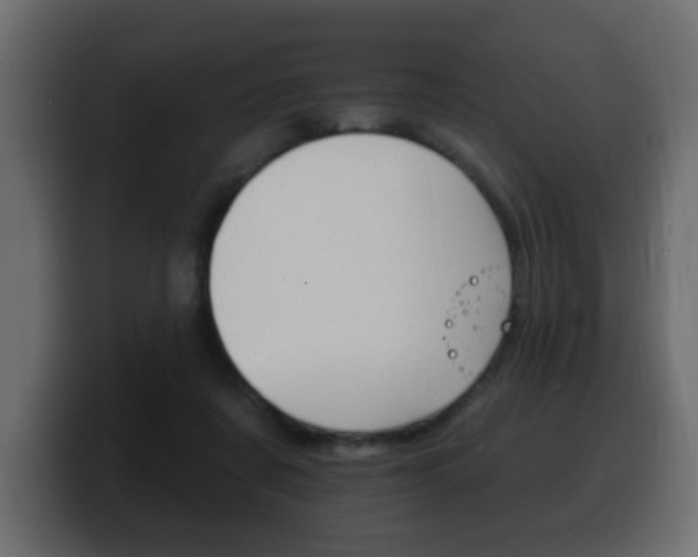 X0000100390311200806060839