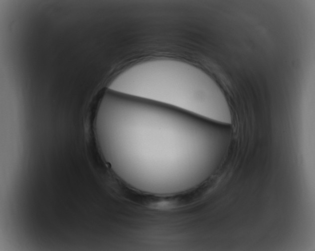 X0000100390312200806060839