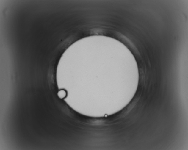 X0000100390313200806060839