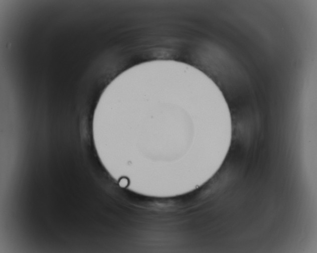 X0000100390317200806060839