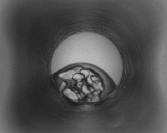 X0000100390320200806060839