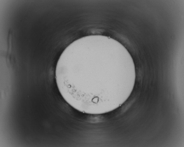 X0000100390321200806060839