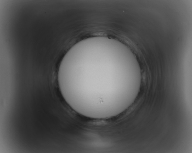 X0000100390322200806060839
