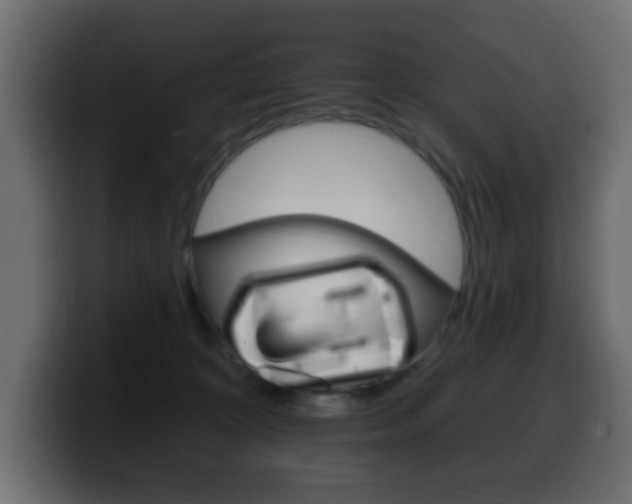 X0000100390324200806060839