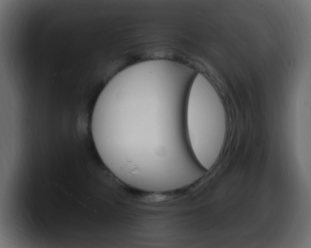 X0000100390326200806060839