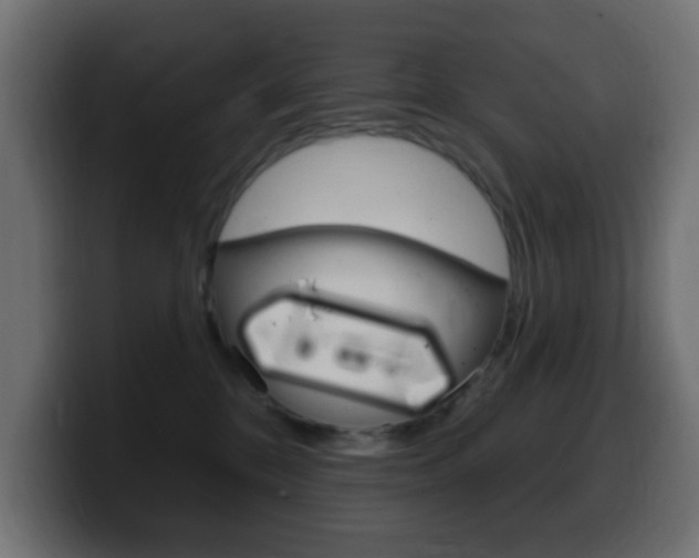 X0000100390328200806060839