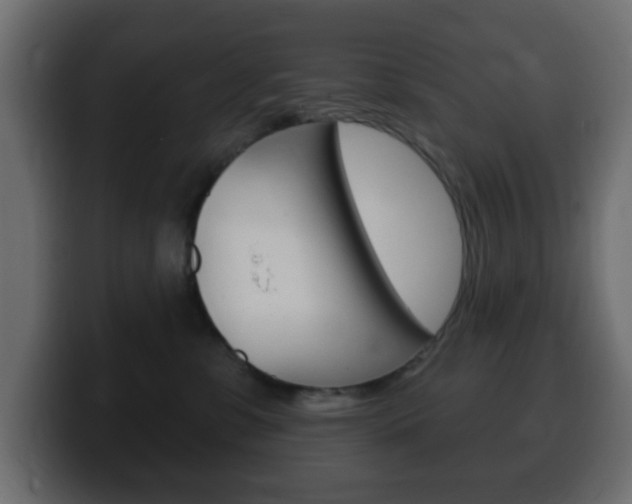 X0000100390331200806060839