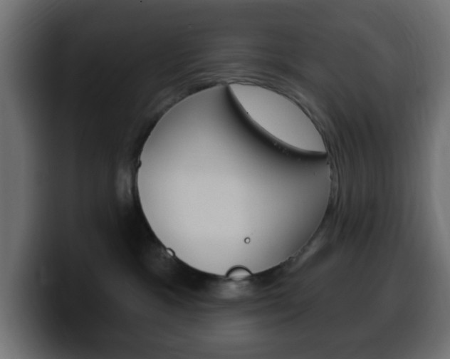 X0000100390333200806060839