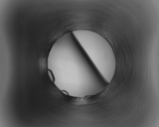X0000100390335200806060839