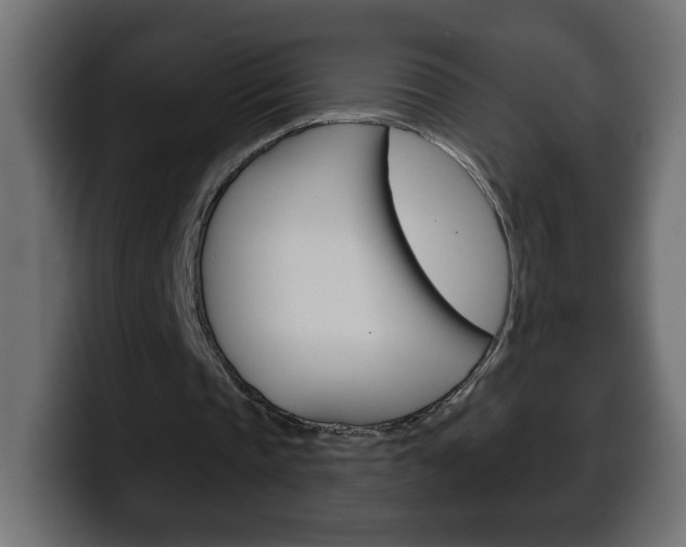X0000100390337200806060838