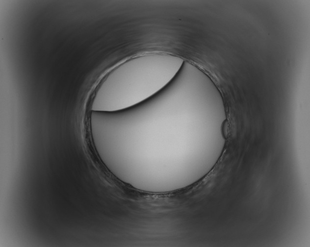 X0000100390338200806060838