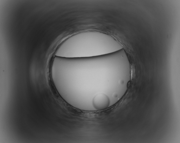 X0000100390339200806060838