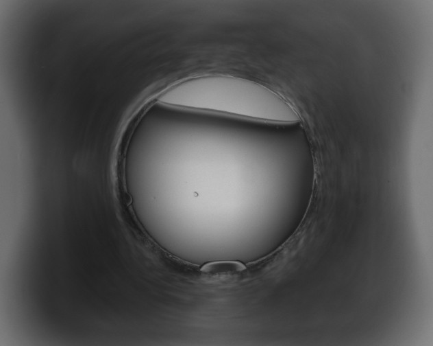 X0000100390340200806060838