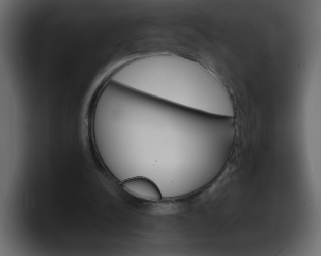 X0000100390342200806060838