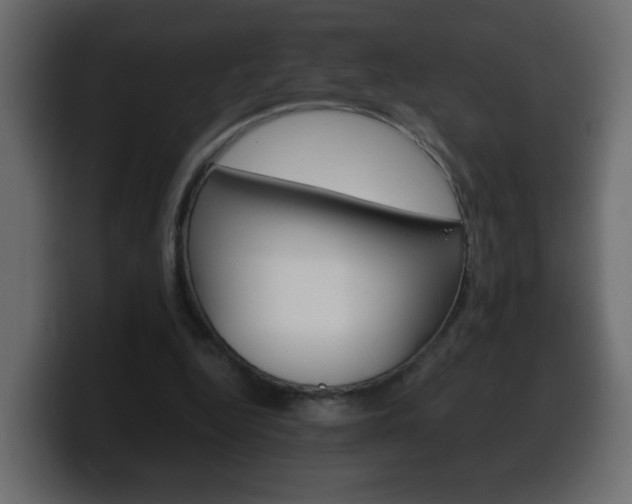 X0000100390344200806060838