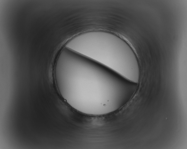 X0000100390345200806060838