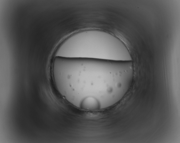 X0000100390346200806060838