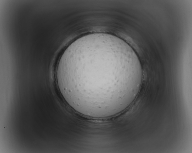 X0000100390347200806060838
