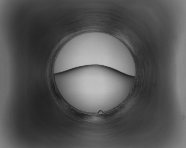 X0000100390348200806060838