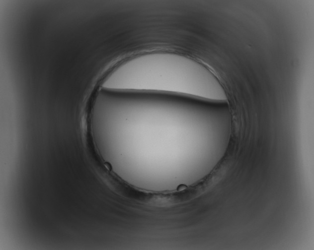 X0000100390350200806060838