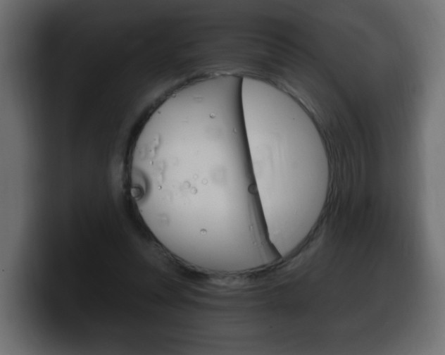 X0000100390351200806060838